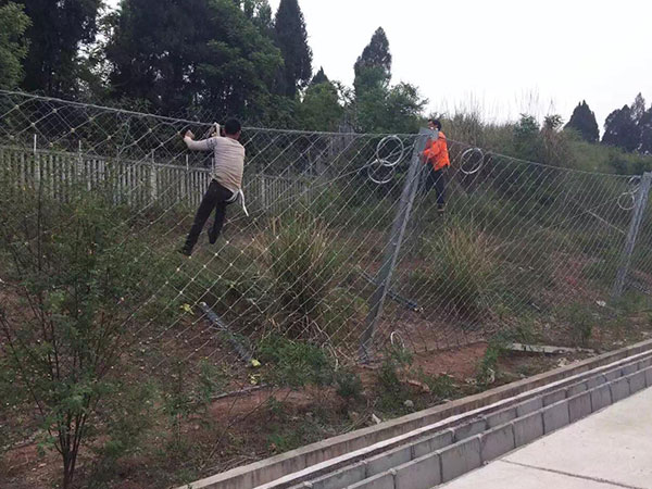 RX-025被动防护网(菱形)